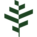 bgo Casino casino logo